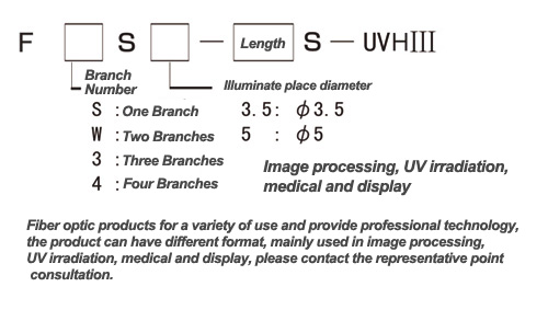 Branches light source Fiber model discription